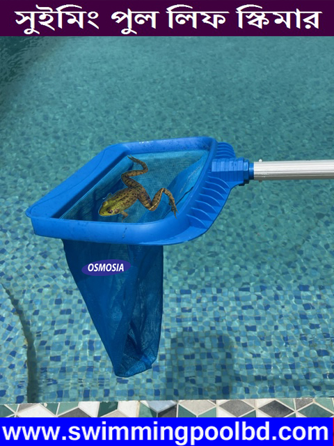 Swimming Pool Leaf Skimmer Nylon Blue Net with Telescopic Handle in Bangladesh